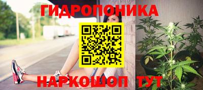 spice Владивосток